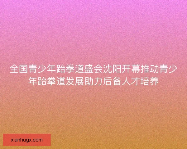全国青少年跆拳道盛会沈阳开幕推动青少年跆拳道发展助力后备人才培养